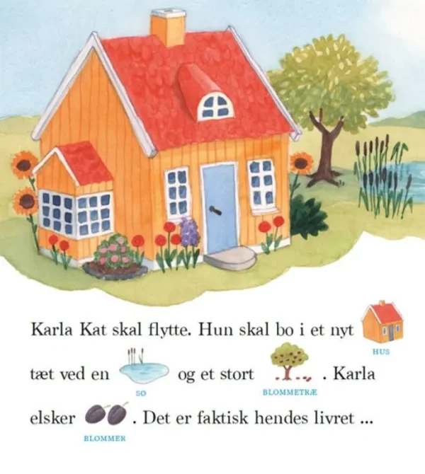 Bog Karla Kat Skal Flytte*Forlaget Bolden Cheap