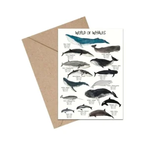 A6 Kort, World Of Whales*Mouse & Pen Best