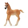 Arab Foal*Schleich Best