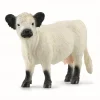 Galloway Cow*Schleich Flash Sale