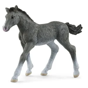 Trakehner, Fol*Schleich Clearance