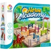 Horse Acadamy*Smart Games Shop