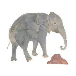 Wallsticker Elefant Stor*That's mine Cheap